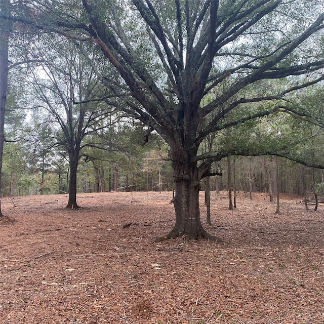 LOT6 W Lakeshore Dr, Shreveport LA, 71107 land for sale