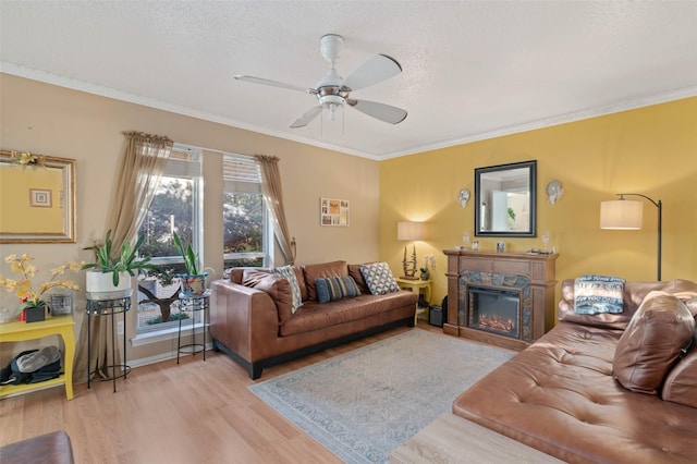 living room with crown molding, light hardwood / wood-style flooring, ceiling fan, and a textured ceiling