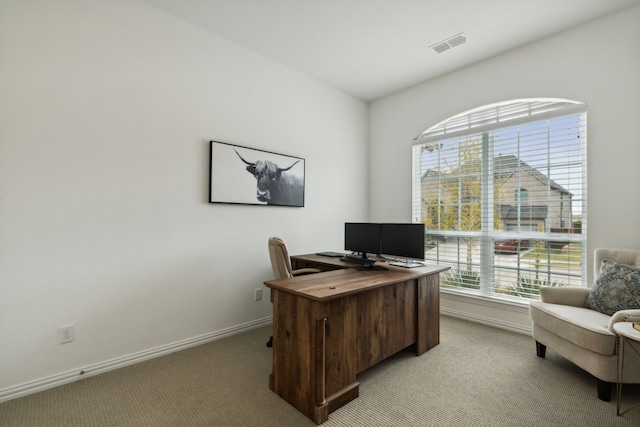 carpeted office space featuring a wealth of natural light