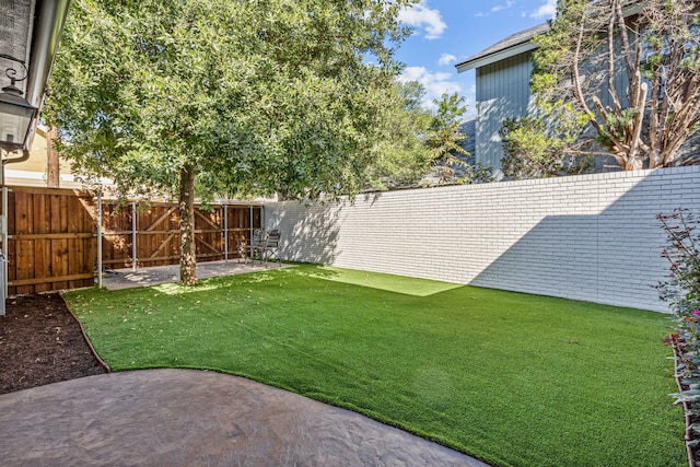 view of yard with a patio