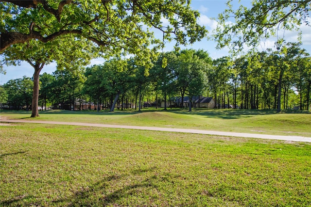 view of home's community with a yard