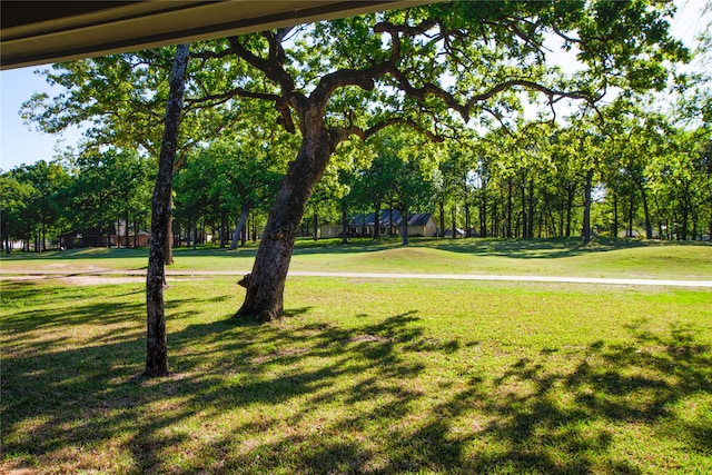 surrounding community featuring a lawn