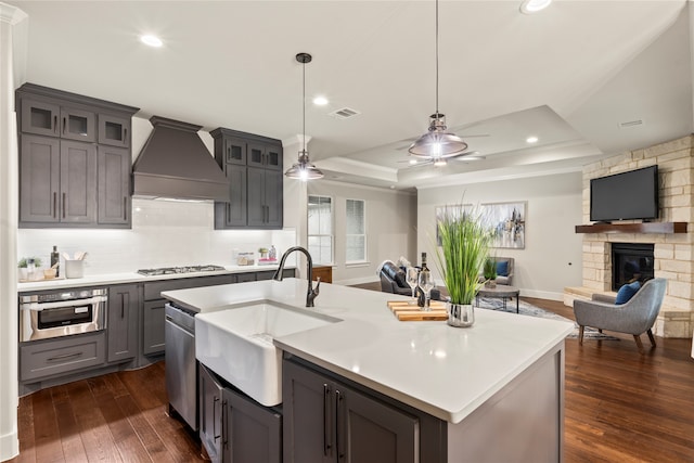 kitchen featuring a raised ceiling, dark hardwood / wood-style flooring, premium range hood, a fireplace, and appliances with stainless steel finishes