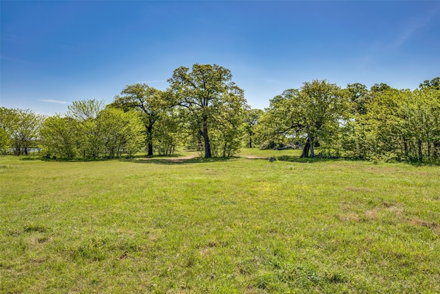 Listing photo 2 for TBD County Rd 243, Collinsville TX 76233