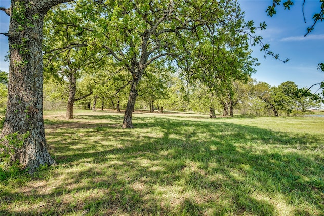 Listing photo 3 for TBD County Rd 243, Collinsville TX 76233