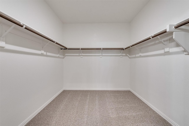 spacious closet featuring carpet floors