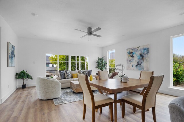 dining room featuring ceiling fan, plenty of natural light, and light hardwood / wood-style flooring