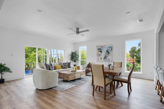 dining room featuring ceiling fan and light wood-type flooring