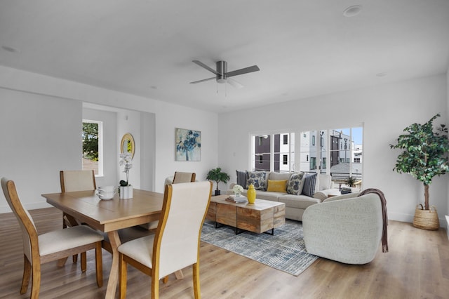 dining space featuring ceiling fan and light wood-type flooring