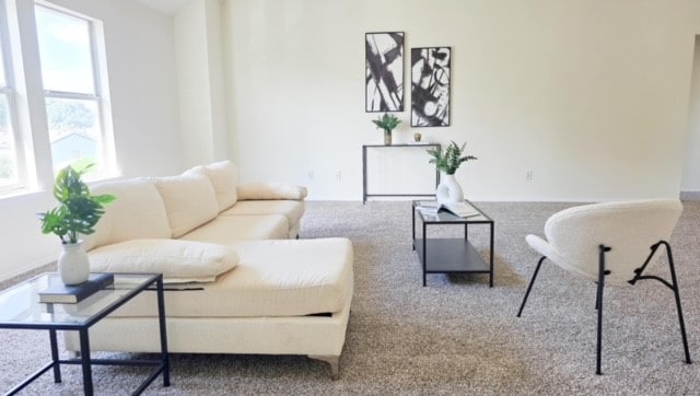 living room with carpet floors