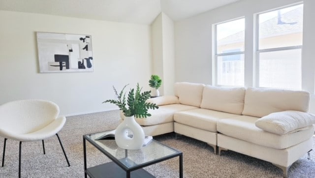 living room featuring carpet floors