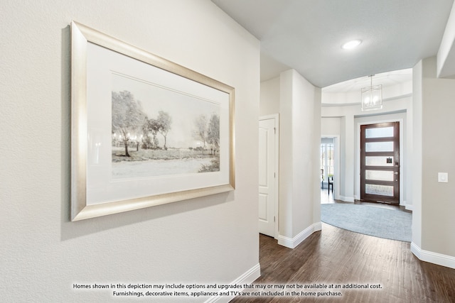 foyer entrance with dark hardwood / wood-style floors