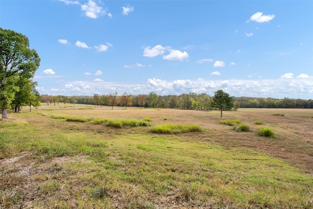 view of yard featuring a rural view