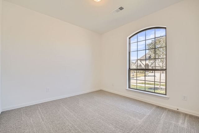 spare room featuring plenty of natural light and carpet