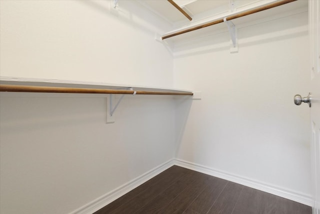 walk in closet featuring dark hardwood / wood-style floors