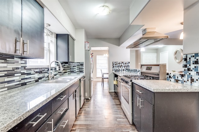 kitchen with wood-type flooring, light stone countertops, appliances with stainless steel finishes, sink, and backsplash