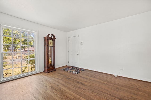 empty room with hardwood / wood-style flooring