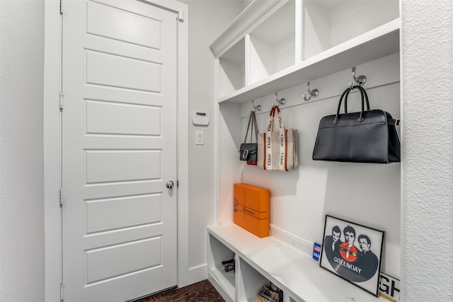 mudroom featuring dark hardwood / wood-style flooring