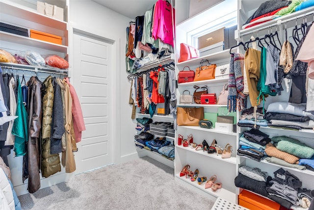 spacious closet with light colored carpet