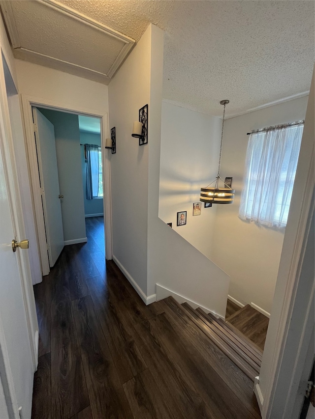 corridor featuring dark wood-type flooring and a textured ceiling