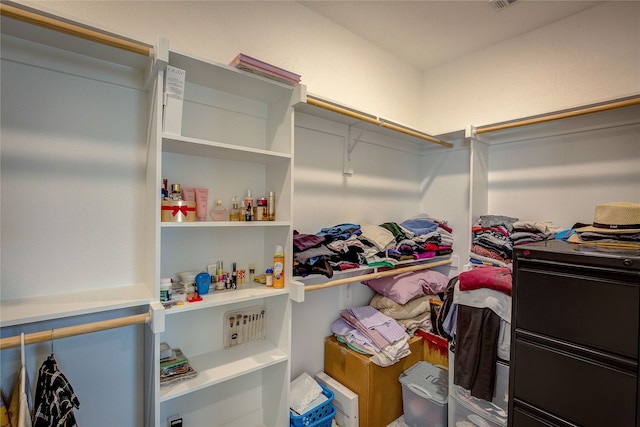 view of walk in closet