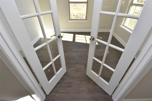 interior details featuring wood-type flooring and french doors