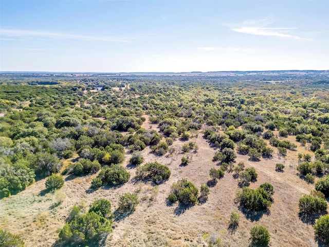 Listing photo 3 for TBD County Road 2730, Glen Rose TX 76043