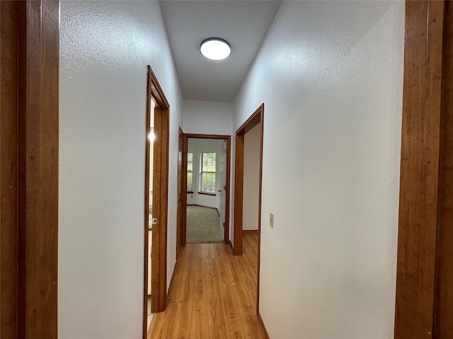 hall with light hardwood / wood-style floors