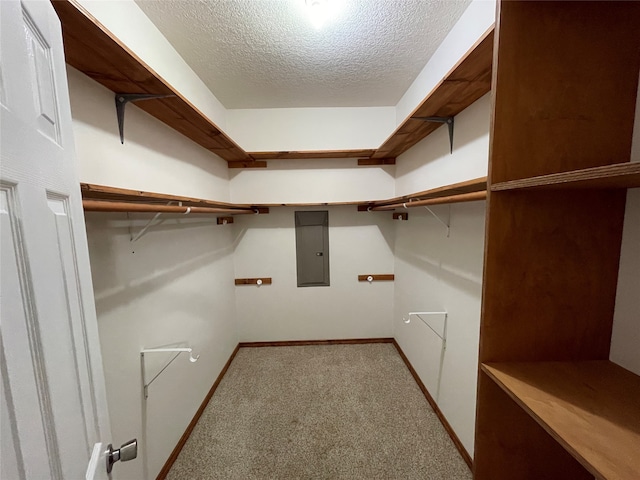 spacious closet featuring electric panel and light colored carpet