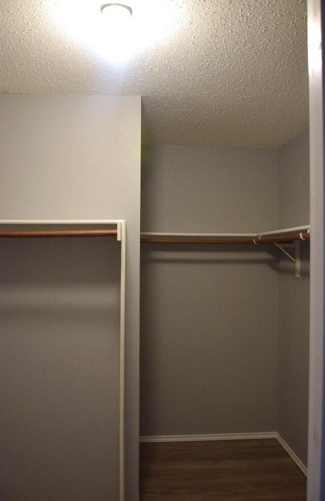 walk in closet with wood-type flooring