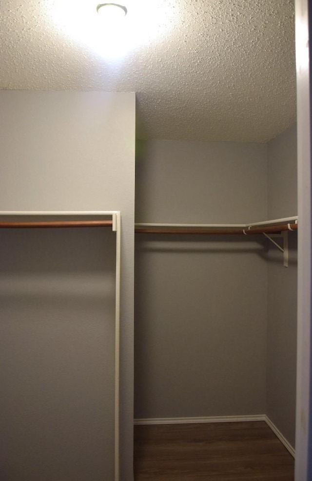 walk in closet featuring hardwood / wood-style floors