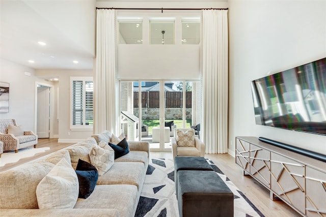 living room with light hardwood / wood-style floors and plenty of natural light