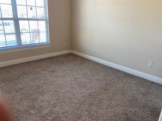 spare room featuring carpet floors