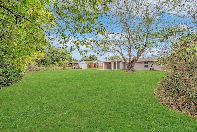 view of yard with a storage shed