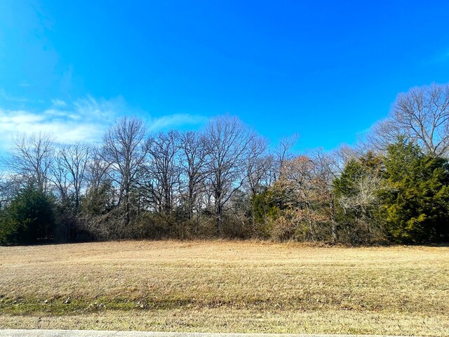 Listing photo 3 for LOT36A Dublin Cir, Gordonville TX 76245