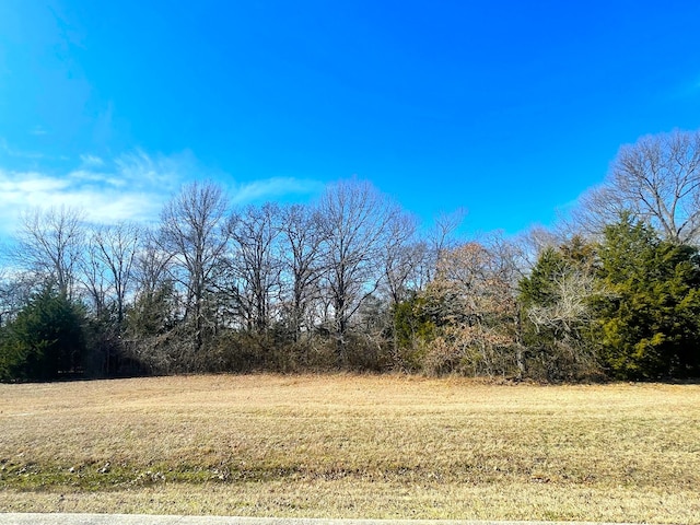 Listing photo 3 for LOT36A Dublin Cir, Gordonville TX 76245