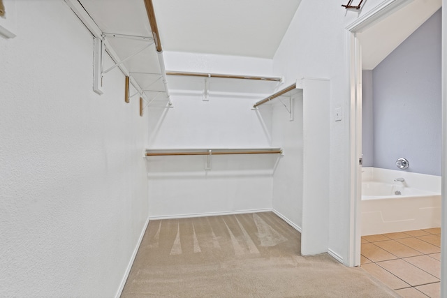 spacious closet with light carpet