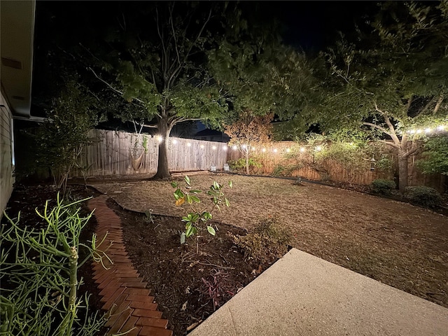 view of yard at night