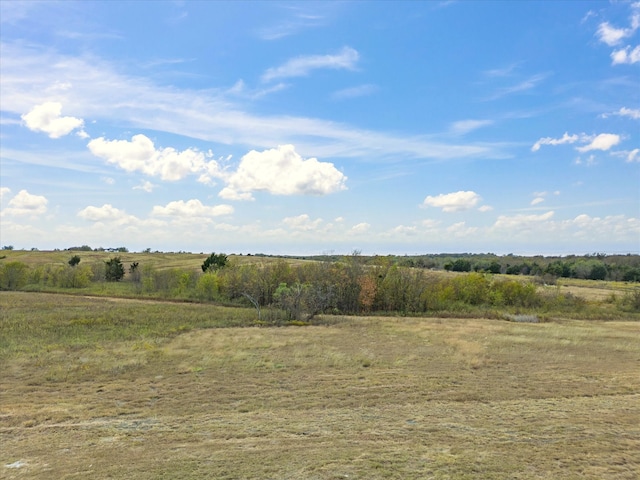 view of local wilderness featuring a rural view