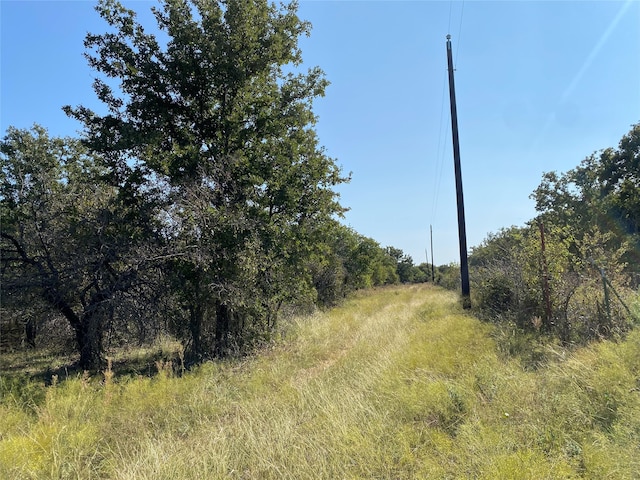 Listing photo 3 for TBD County Rd 190, De Leon TX 76442