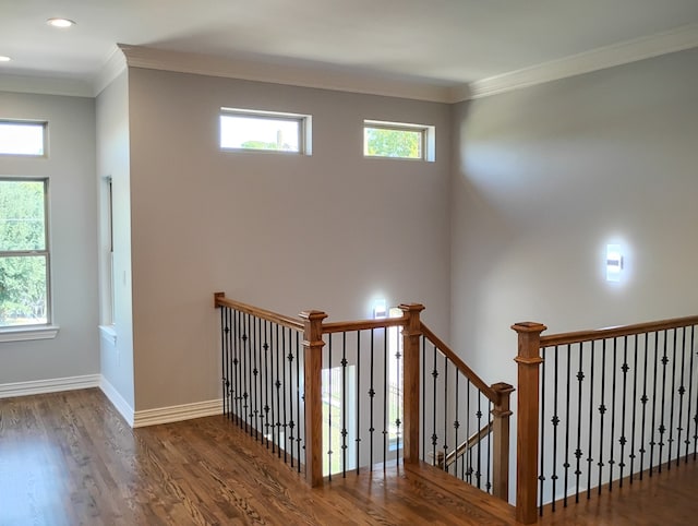 stairway featuring hardwood / wood-style floors, a healthy amount of sunlight, and ornamental molding