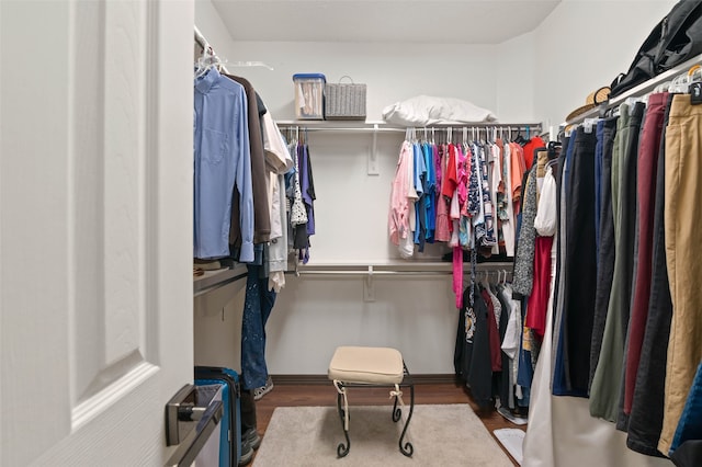 spacious closet with hardwood / wood-style flooring