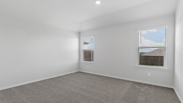 spare room with carpet floors