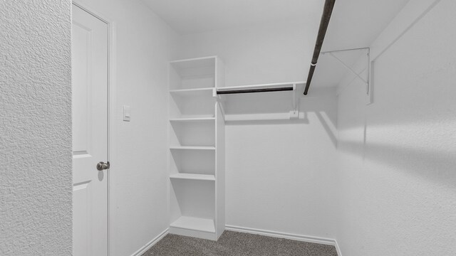 walk in closet featuring carpet floors