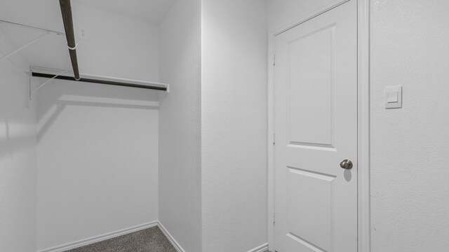 walk in closet with carpet floors