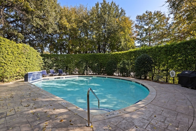 view of swimming pool featuring a patio