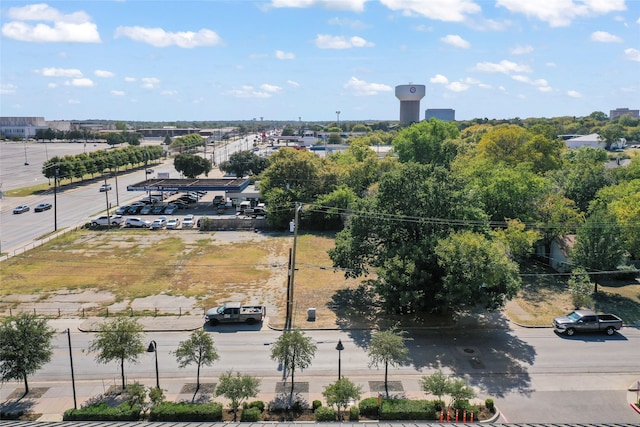 bird's eye view