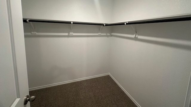 spacious closet featuring carpet flooring