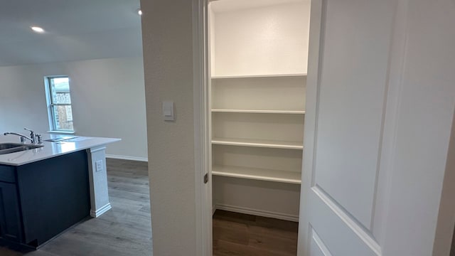 pantry with sink