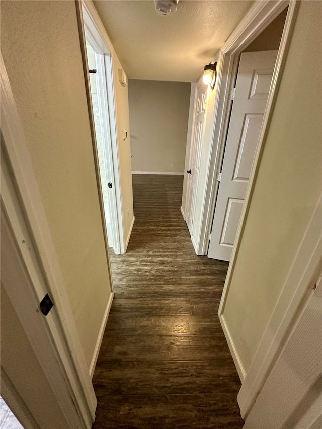 hall featuring dark wood-type flooring